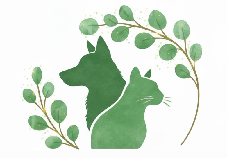 Tierisch Vital – Tierheilpraxis für Hunde & Katzen