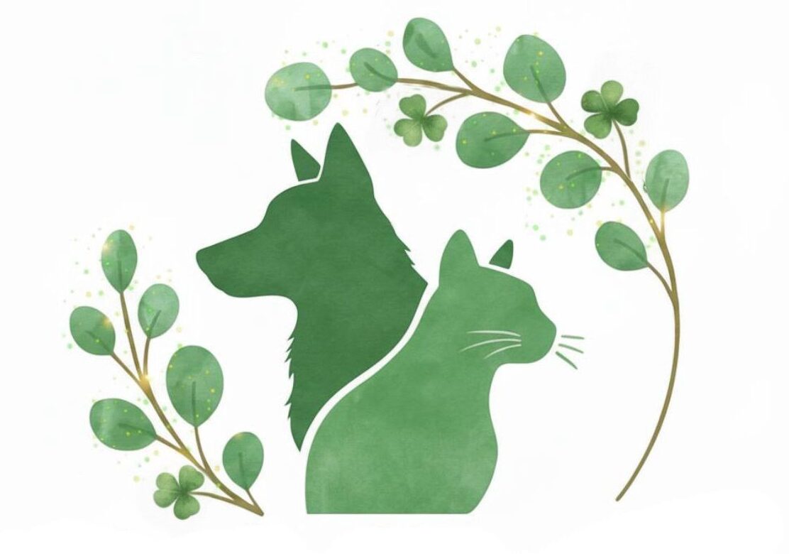 Tierisch Vital – Tierheilpraxis für Hunde & Katzen